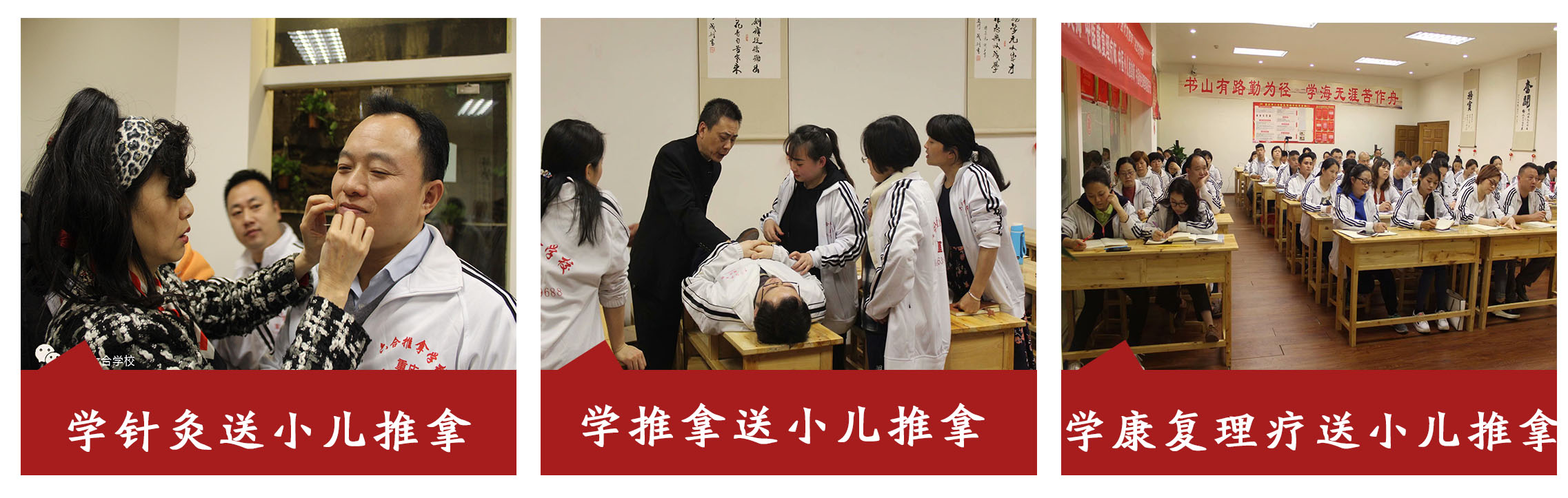 針灸 推拿 康復理療