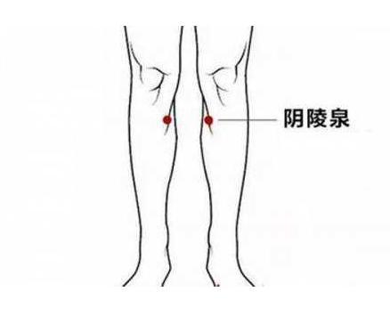煩惱春節胖三斤？養成了痰濕體質就麻煩了